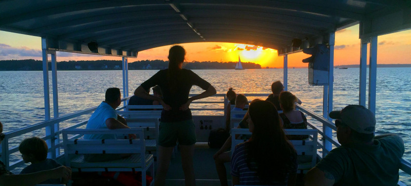 Sunset & Fireworks Dolphin Tour