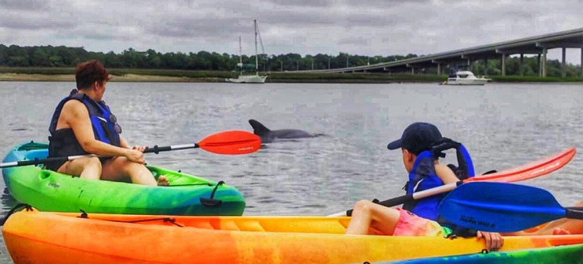 Kayak Tour