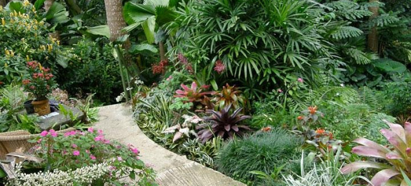 Taste of Barbados Full-day Sightseeing Tour