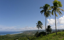 Beautiful Barbados Tours and Excursions Ltd5