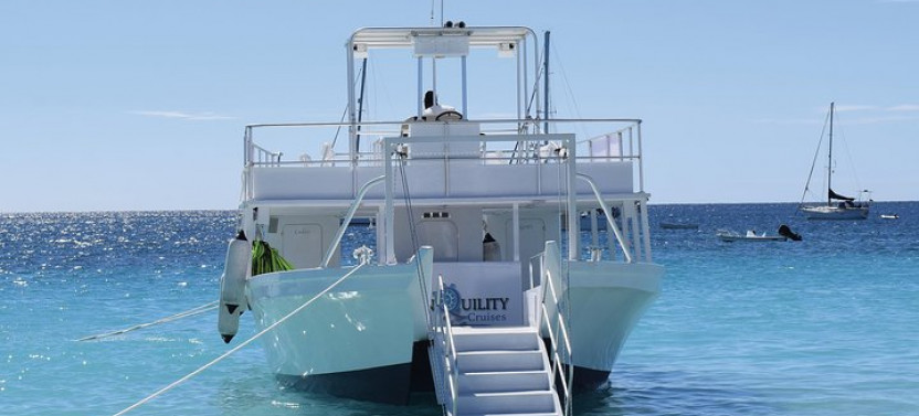 Harrison's Cave Tram Tour And Boat Cruise Snorkel Adventure