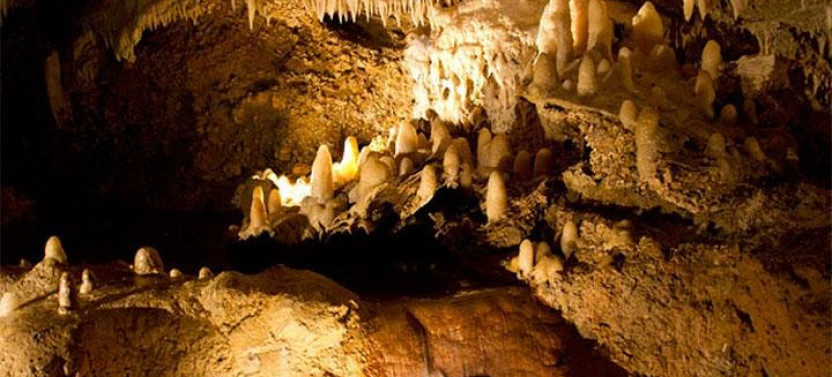 Treasures of Barbados Cave and Plantation Sightseeing Tour