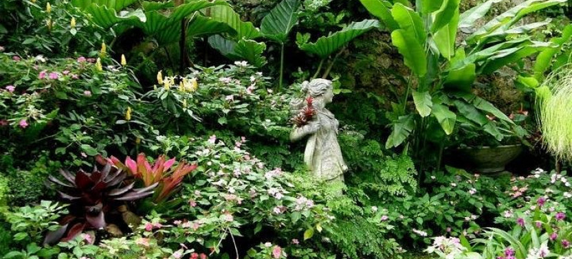 Harrisons Cave Hunte's Garden And Bathsheba