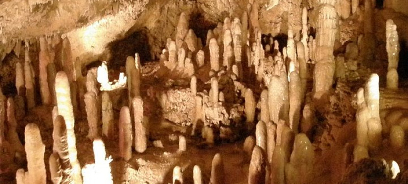 Treasures of Barbados Cave and Plantation Sightseeing Tour