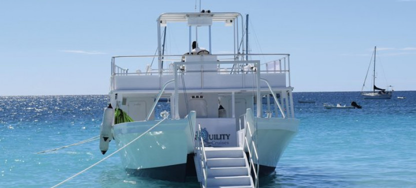 Barbados Turtle & Shipwreck Snorkel Adventure