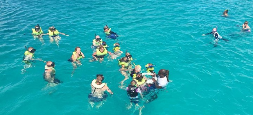 Barbados Turtle & Shipwreck Snorkel Adventure