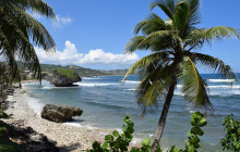 Beautiful Barbados Tours and Excursions Ltd5