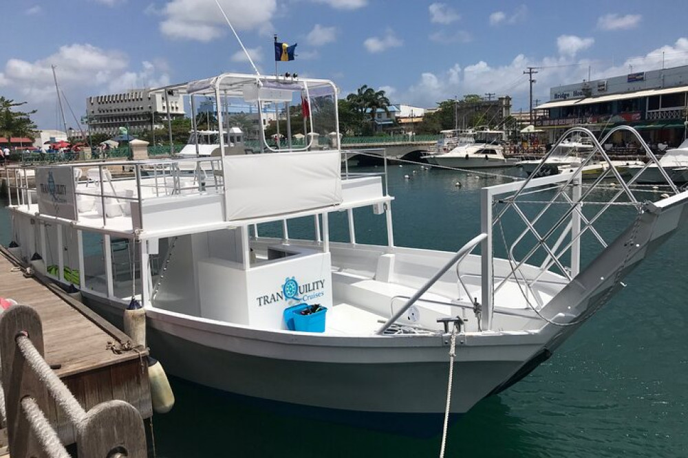 barbados catamaran turtle and shipwreck snorkeling cruise