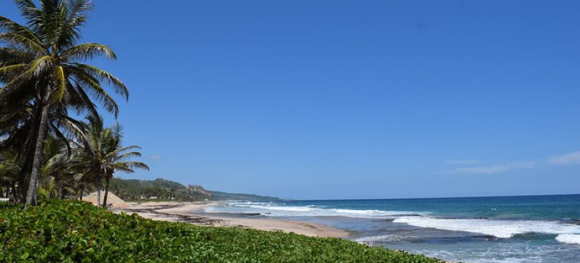 Explore And Discover Barbados By Land & By Sea