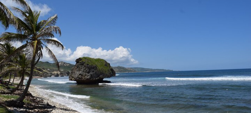 Explore And Discover Barbados By Land & By Sea