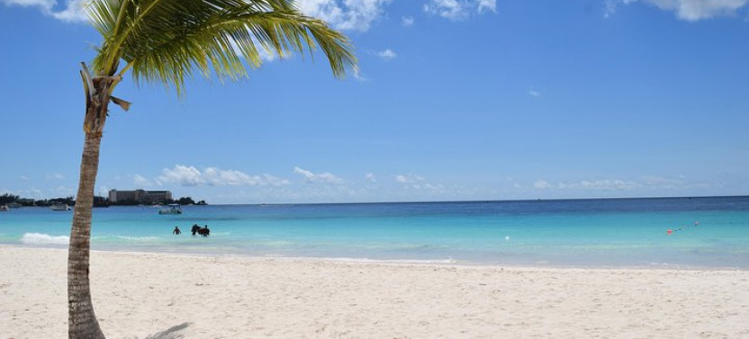 Beach Day At Savvy On The Bay With Shuttle Transfers