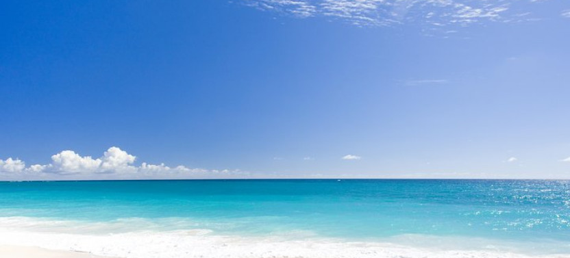 Beach Day At Savvy On The Bay With Shuttle Transfers