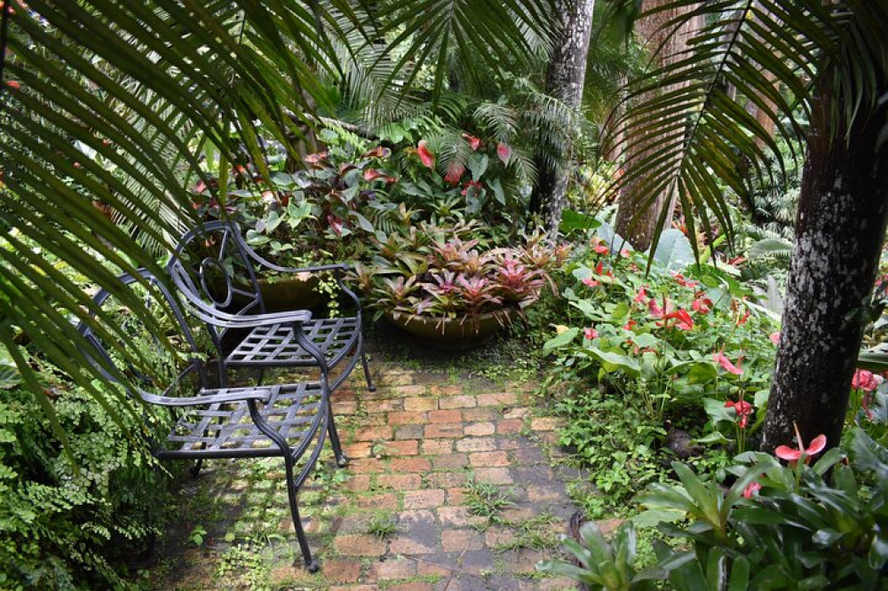 Hunte's Gardens Barbados Half Day Excursion