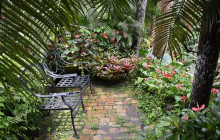 Beautiful Barbados Tours and Excursions Ltd1