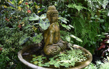 Beautiful Barbados Tours and Excursions Ltd4