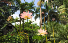 Beautiful Barbados Tours and Excursions Ltd7