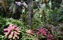 Beautiful Barbados Tours and Excursions Ltd8