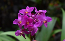 Beautiful Barbados Tours and Excursions Ltd10