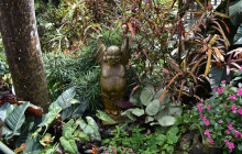Beautiful Barbados Tours and Excursions Ltd11