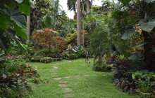 Beautiful Barbados Tours and Excursions Ltd14
