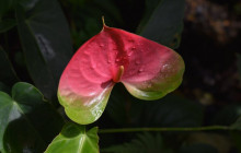 Beautiful Barbados Tours and Excursions Ltd16