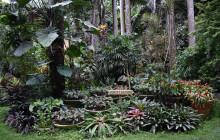 Beautiful Barbados Tours and Excursions Ltd17