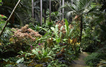 Beautiful Barbados Tours and Excursions Ltd19