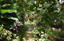 Beautiful Barbados Tours and Excursions Ltd23