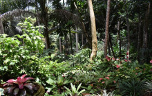 Beautiful Barbados Tours and Excursions Ltd27