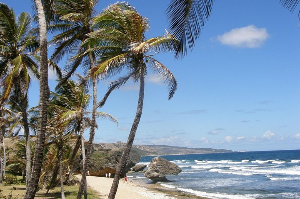 Natural Wonders of Barbados