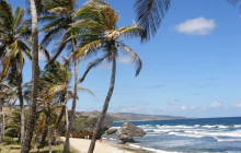 Beautiful Barbados Tours and Excursions Ltd1