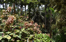 Beautiful Barbados Tours and Excursions Ltd29