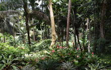 Beautiful Barbados Tours and Excursions Ltd31
