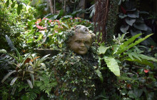 Beautiful Barbados Tours and Excursions Ltd6