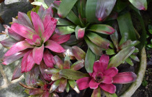 Beautiful Barbados Tours and Excursions Ltd33