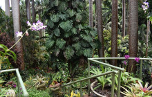 Beautiful Barbados Tours and Excursions Ltd36