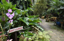 Beautiful Barbados Tours and Excursions Ltd37