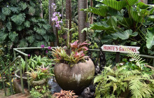 Beautiful Barbados Tours and Excursions Ltd38