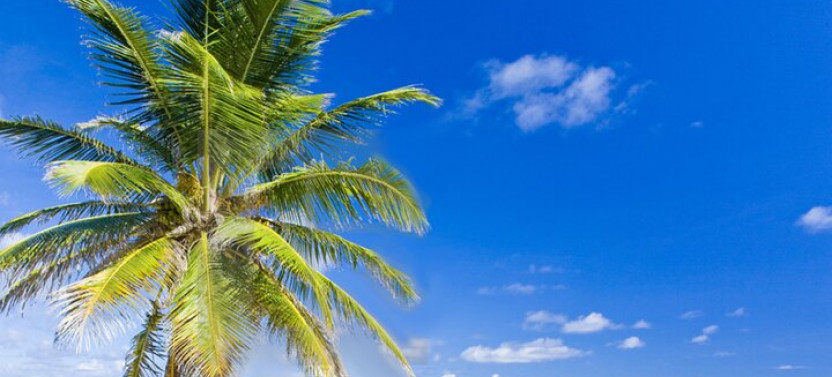 Barbados Coastal Sightseeing Tour