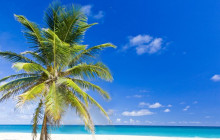 Beautiful Barbados Tours and Excursions Ltd2