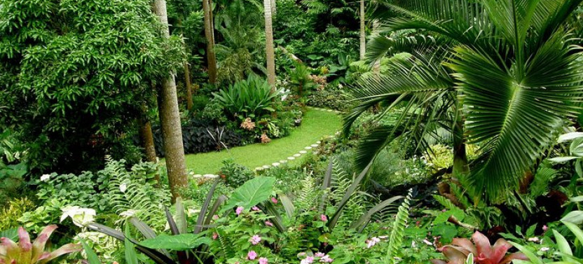 Hunte's Garden and St Nicholas Abbey