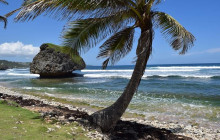 Beautiful Barbados Tours and Excursions Ltd1