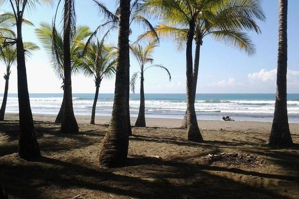 Nauyaca Waterfall Hiking & Surf Lessons Quepos Project Expedition