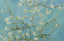 Blue Boat Company / Gray Line Amsterdam3