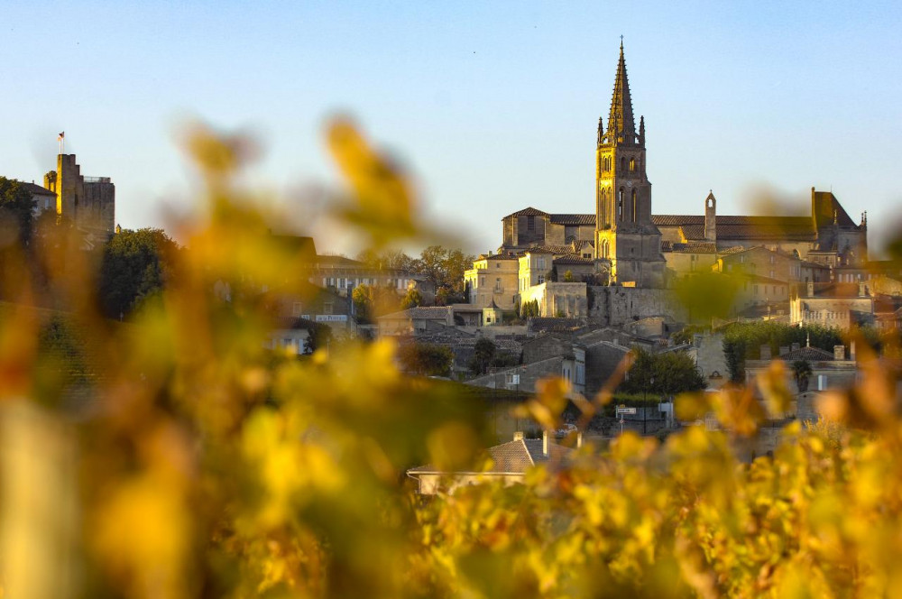 Private Full-Day Saint Emilion Wine Tour from Saint-Emilion