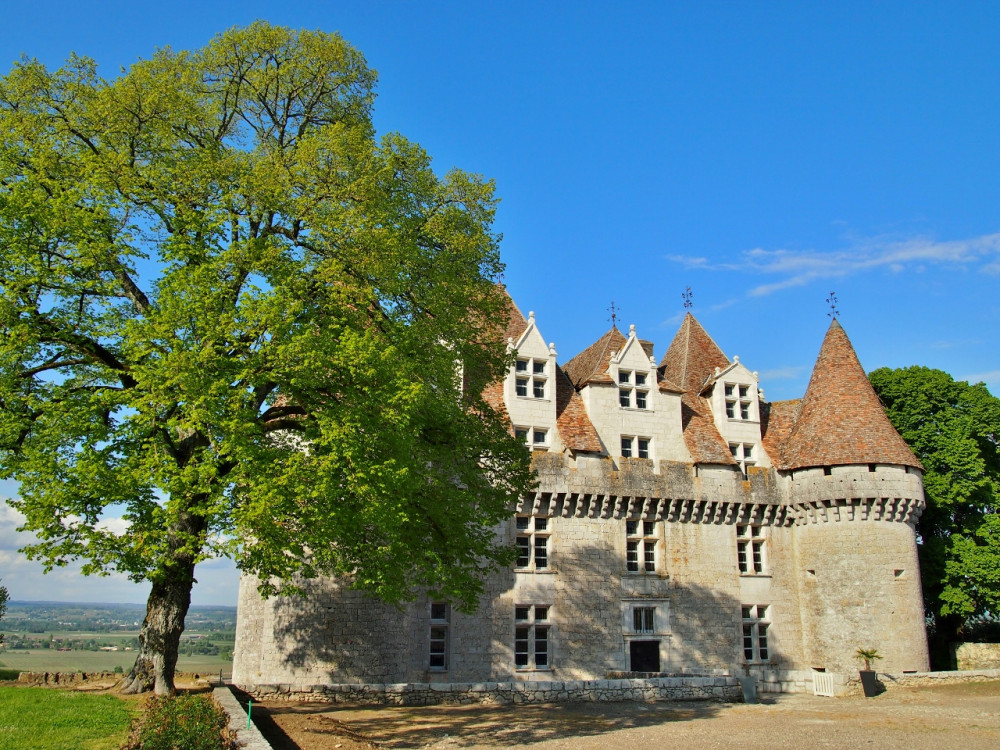 Dordogne Wine Tour Private Day Trip From Sarlat