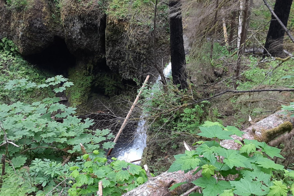 Waterfall Express Transportation to The Waterfall Trolley Portland