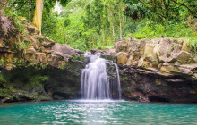 Waterfall & Rainforest Hiking Adventure