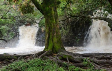 Hike Maui5