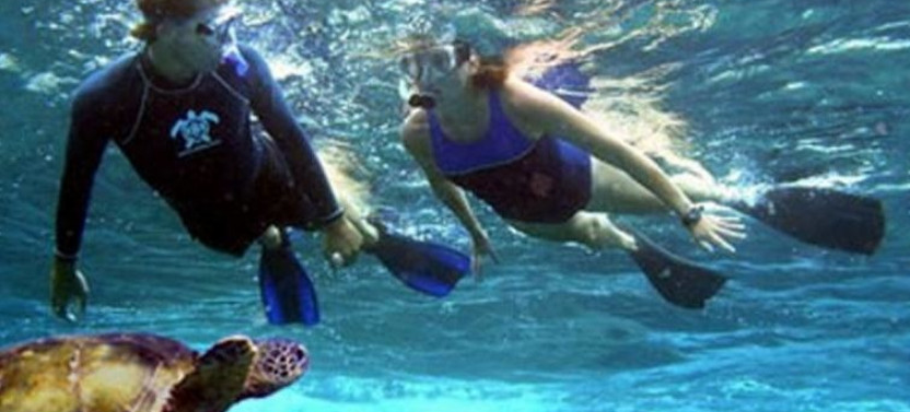 Kayak, Snorkel & Waterfall Combo Tour